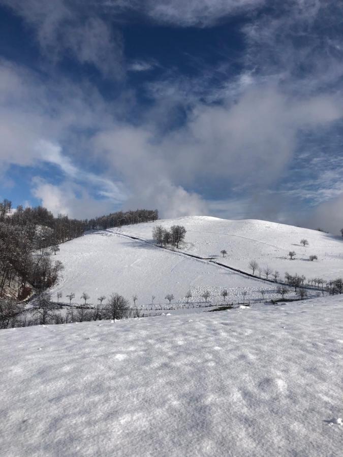 Hotel Casuta Bunicilor Isverna Esterno foto